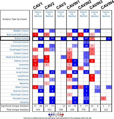 Integrated Bioinformatic Analysis of the Expression and Prognosis of Caveolae-Related Genes in Human Breast Cancer